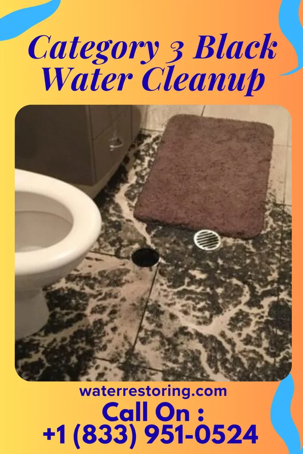 Category 3 Black Water Cleanup in Kenefic, OK